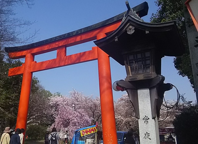 平野神社京都